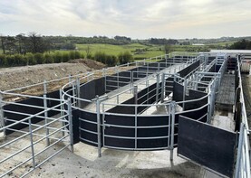 Just under half of tranche 10 applications approved to date