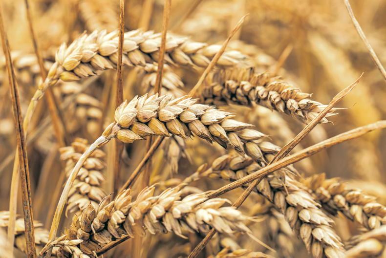 Market Digest: stories from around the world 