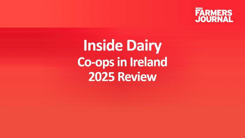 Watch: Inside Dairy special – 2025 dairy co-op performance and milk price review