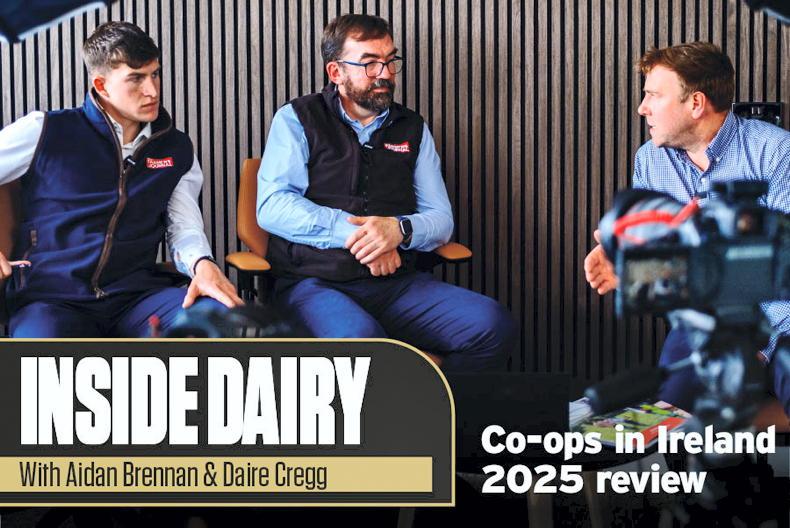 Watch: Inside Dairy special – 2025 dairy co-op performance and milk price review