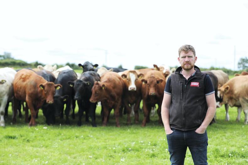 Editorial: Tullamore Farm finances