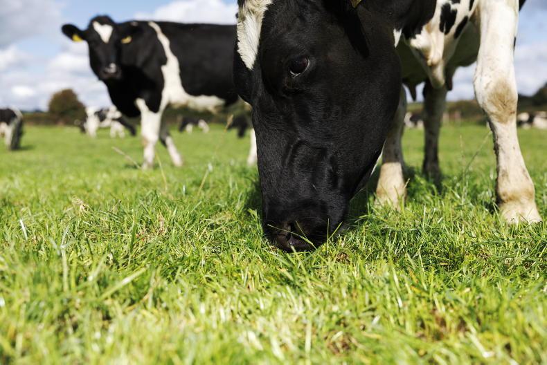 Editorial: milk league - €20,000 milk price gap