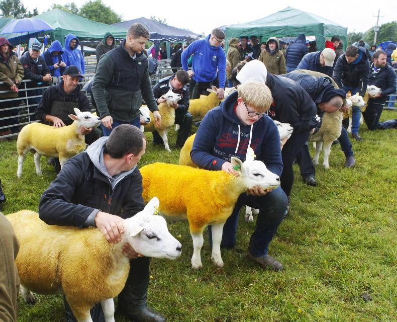 Northern Ireland diary of events