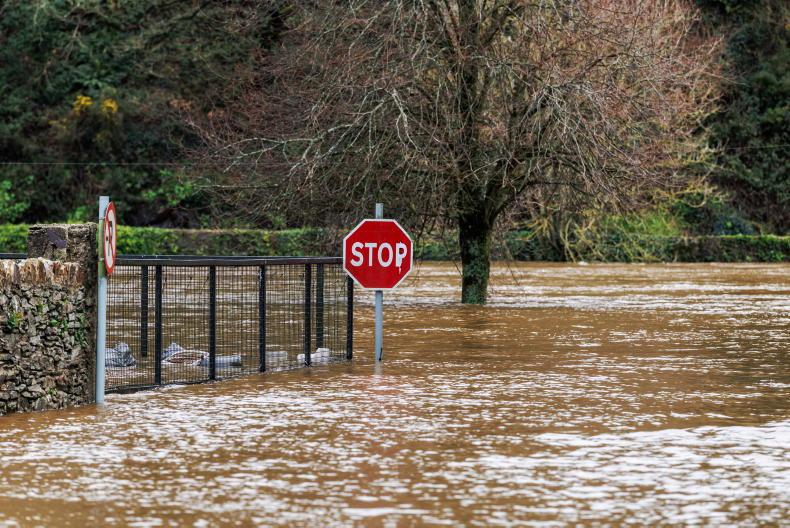 Climate change resulting in fewer wet days but heavier rainfall – professor