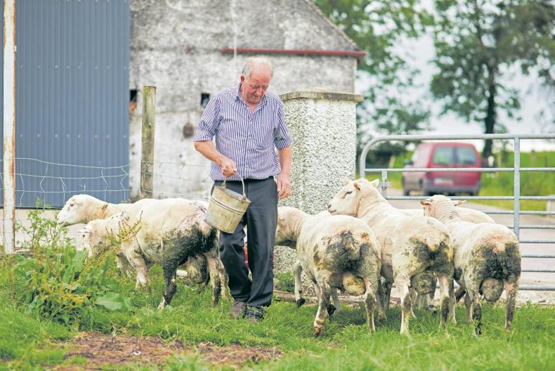 Older farmers reap benefit of Cooley social club