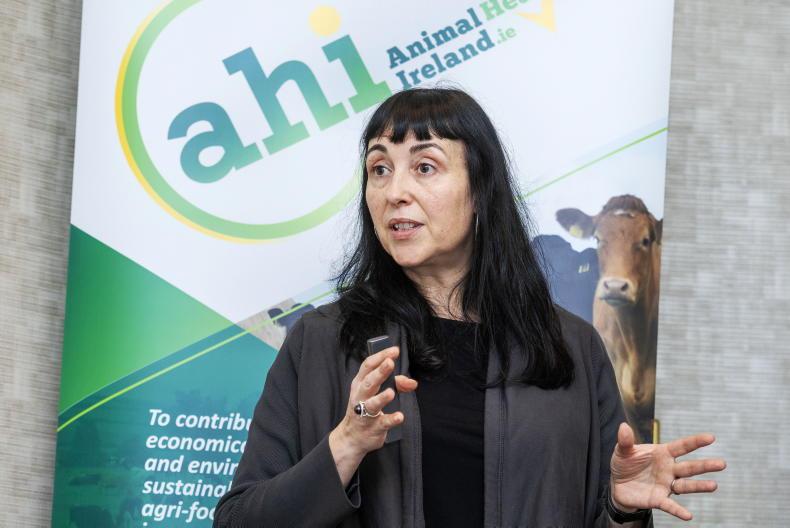 ‘Last push’ required to rid herds of BVD