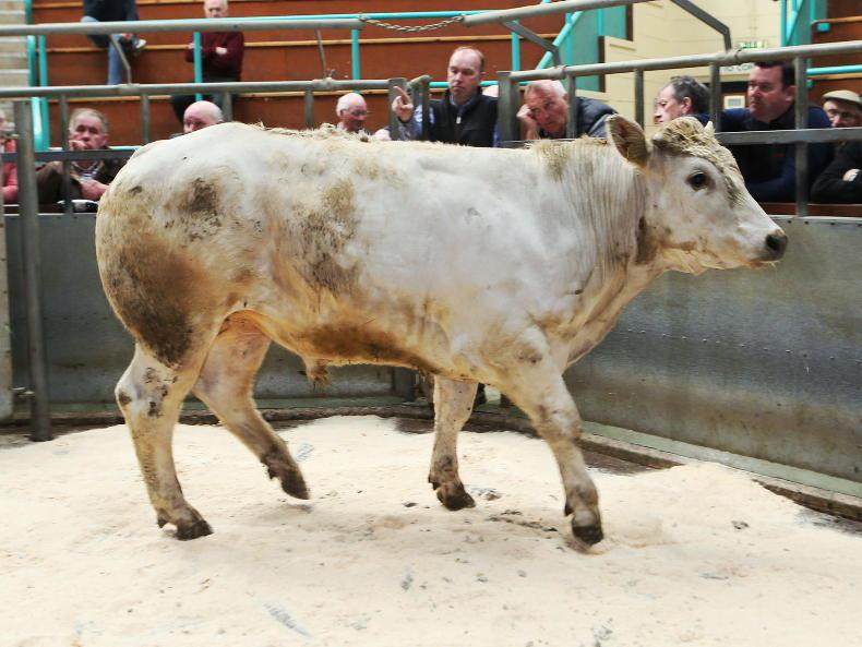 Northern View: quotes steady after weeks of price cuts
