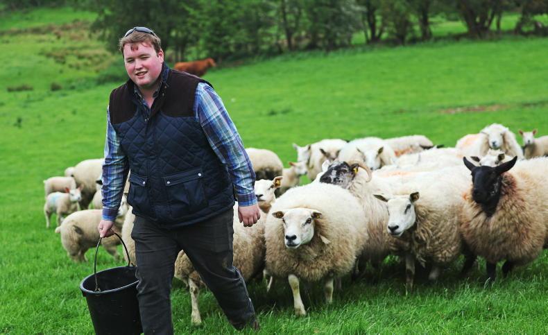 My Farming Week: Shane O’Hara, Manorhamilton, Leitrim