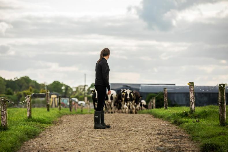 Macra criticises €26m cut to agriculture budget