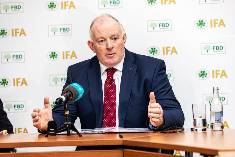 'Beef finishers can’t sustain boom and bust cycle' - IFA president