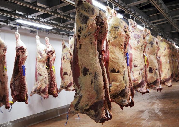 Pressure on beef trade continues
