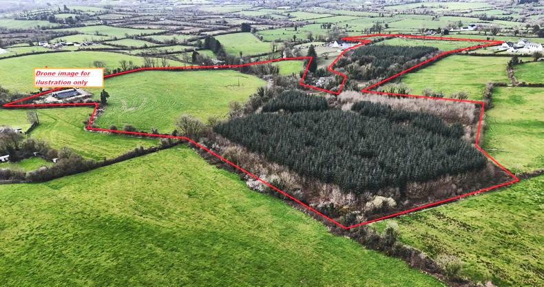 Competitive bidding fuels strong Munster land sales at May auctions