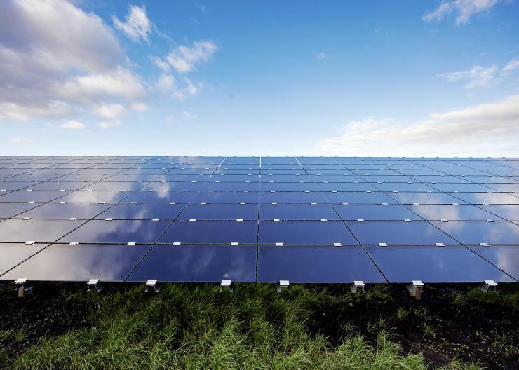 Fine Gael Senator calls for solar farm planning guidelines