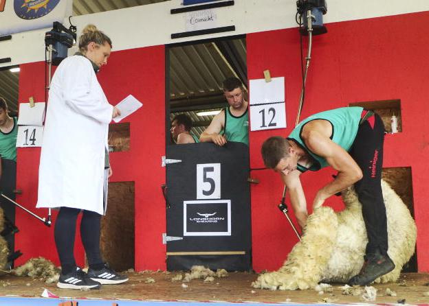 Ivan Scott wins 2026 Shearfest open final