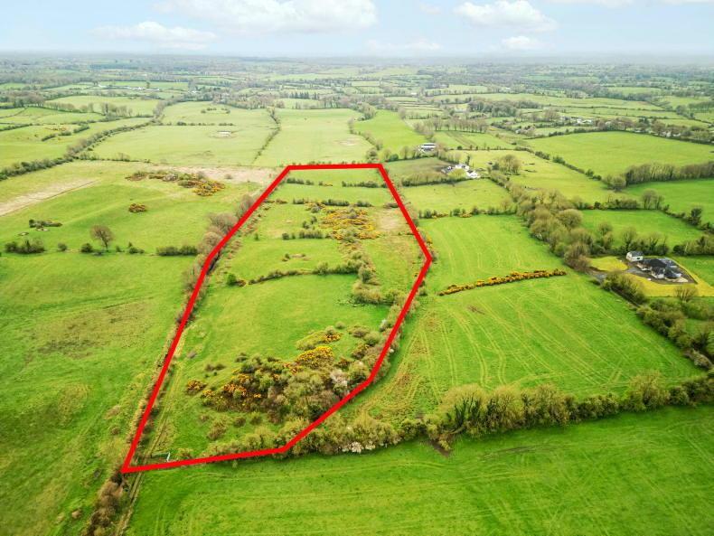 Meath land sells at €10,000/ac above county average at auction