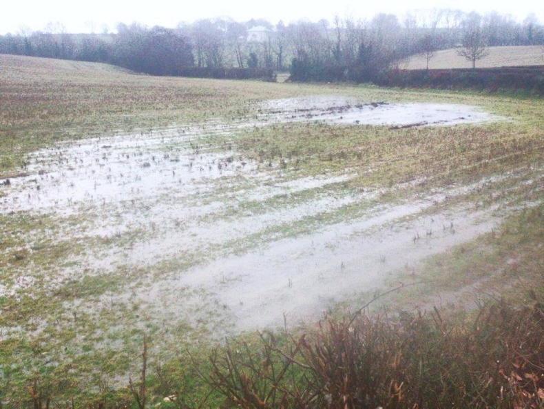 Reducing nutrient loss to rivers via overland flow