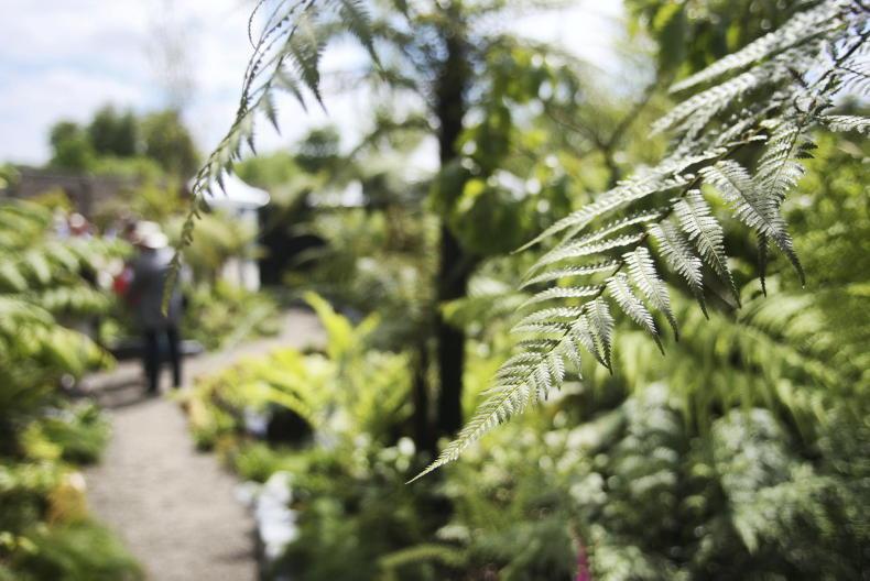 Minister launches organic awards at Bloom