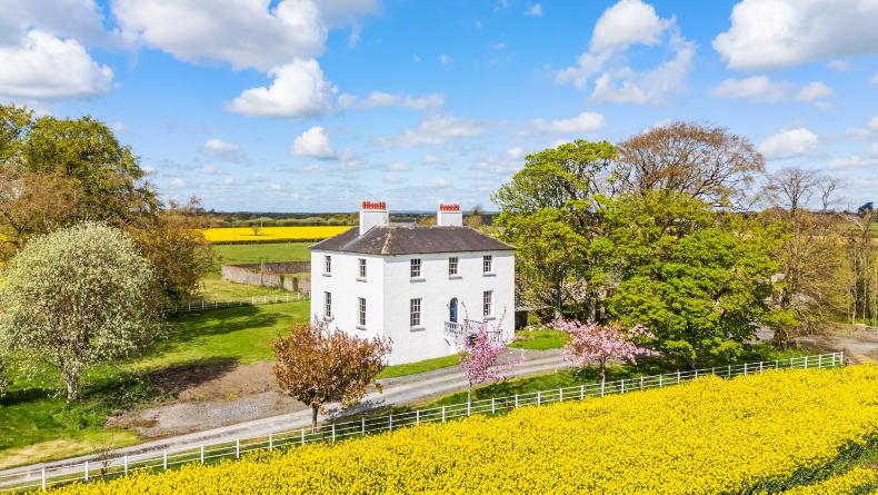 Faithful County Georgian pile has stud potential 