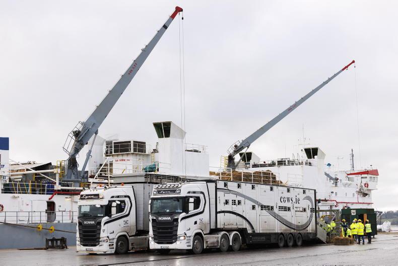 Cattle exports down 15% with weanlings hit hard 