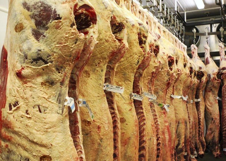 UK imports of Irish beef down in Q1