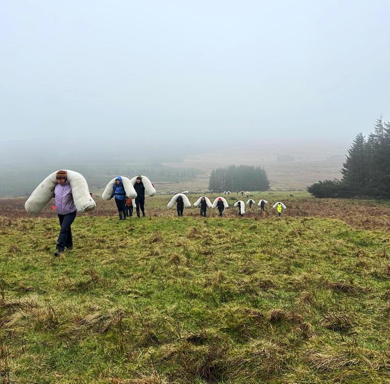 Wool used in peatland restoration trial in Antrim