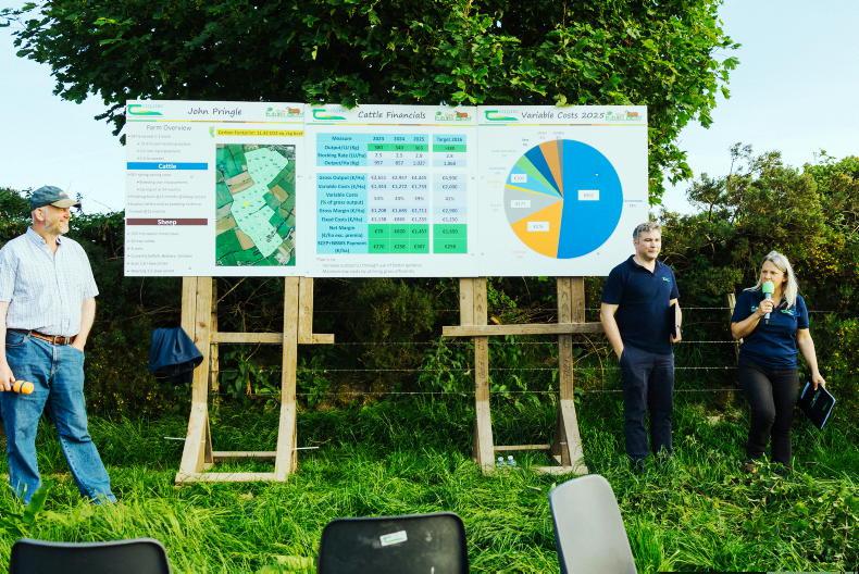 Watch: beef has a bright future in Wicklow