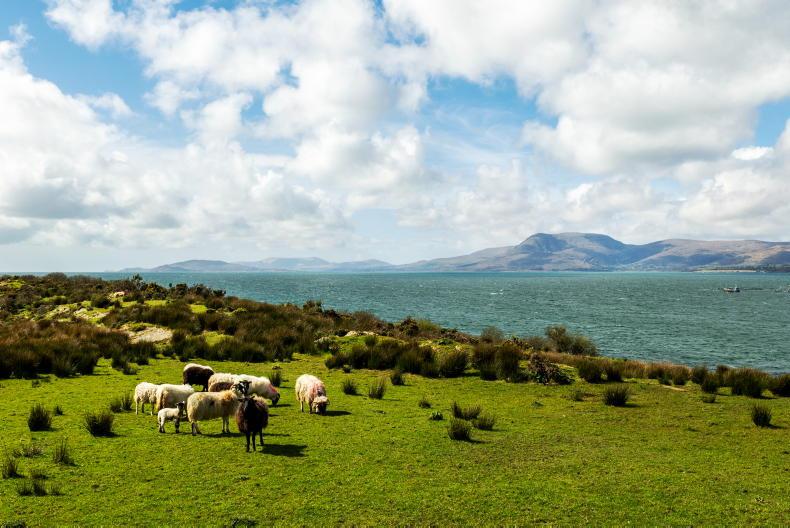 Western counties see biggest drop in farmer numbers