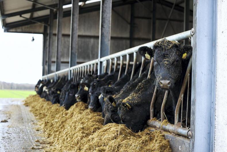 Cavan agri tech company among national enterprise awards nominees
