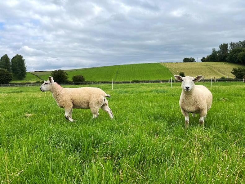 Positive prospects for targeted selective treatments for parasites