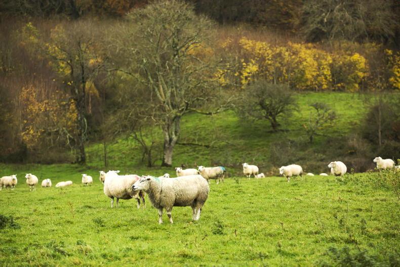 'Terrified' landowner group calls for CAP to target those who deserve it most