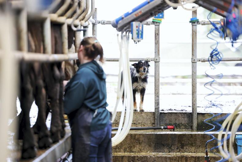 Farming must offer attractive quality of life – MEP