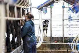 Farming must offer attractive quality of life – MEP
