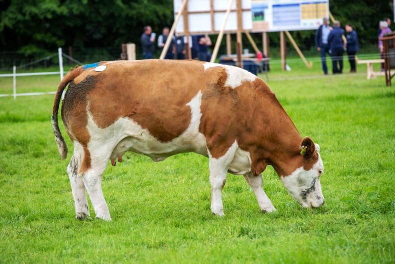 Teagasc and Bord Bia’s CAP income falls 