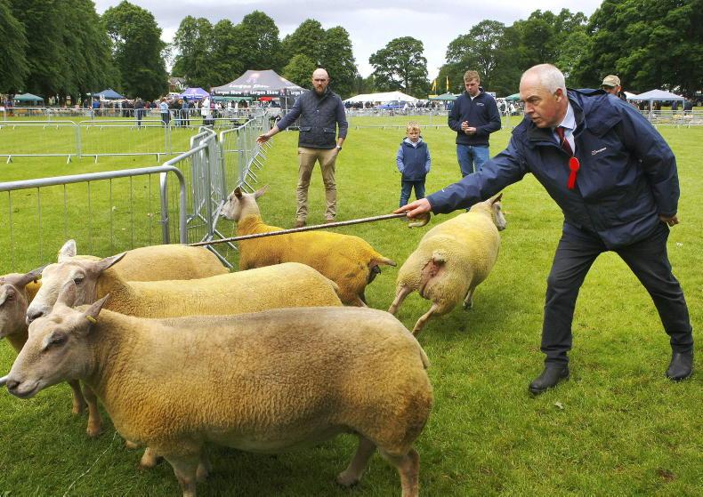 Northern Ireland diary of events