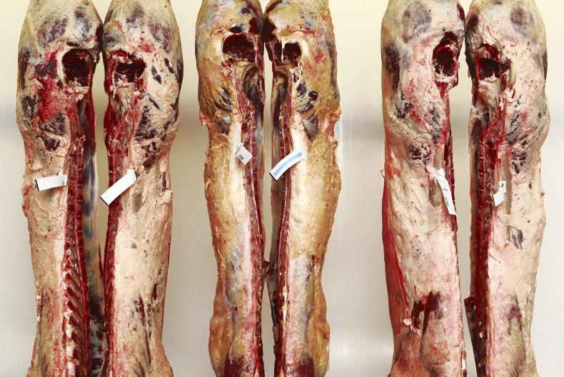 Editorial:  beef trade blues  