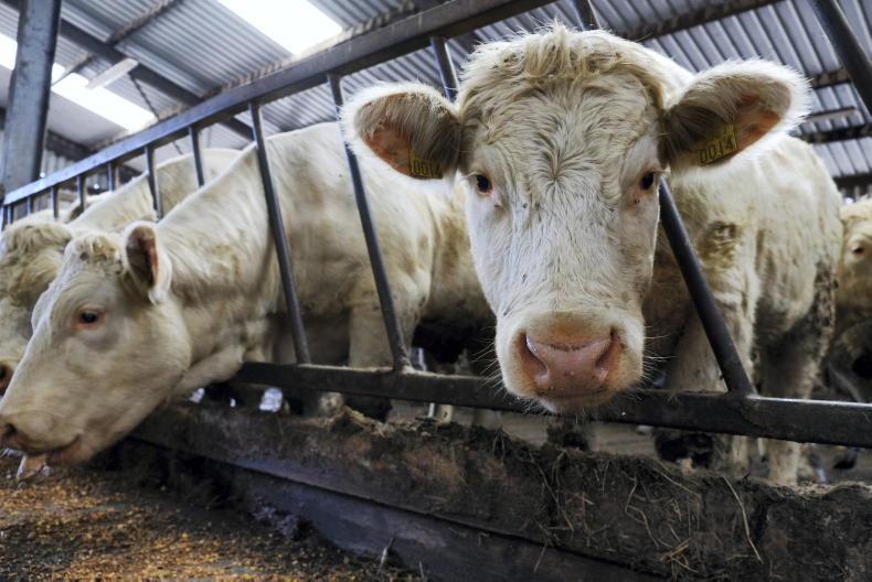 Beef finishers top direct payment list