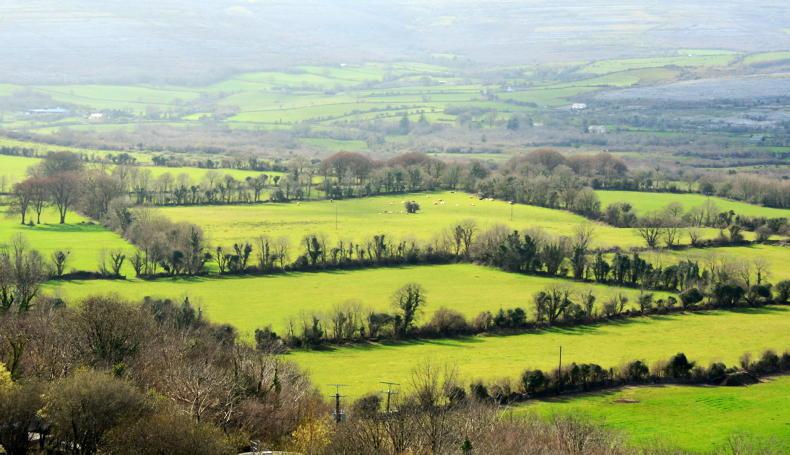 Money Mentor: leasing land - formalise it or keep it in the family?