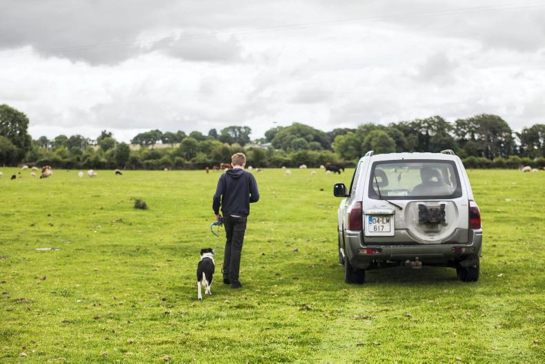 New €5,000 scrappage scheme for old cars and jeeps