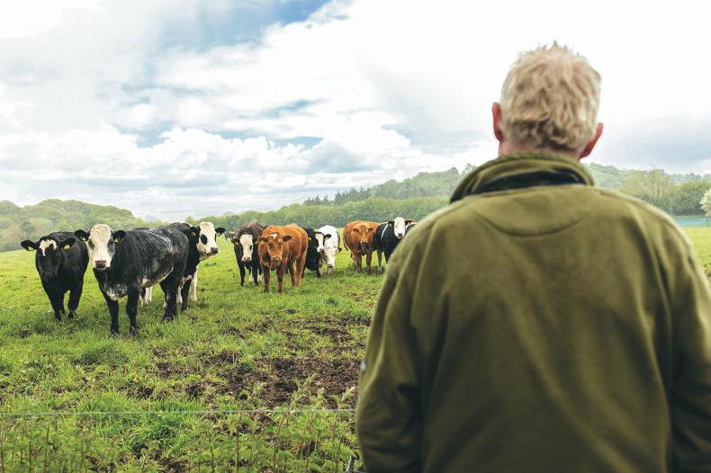 Money Mentor: how can we transfer the farm and avoid a tax bill?