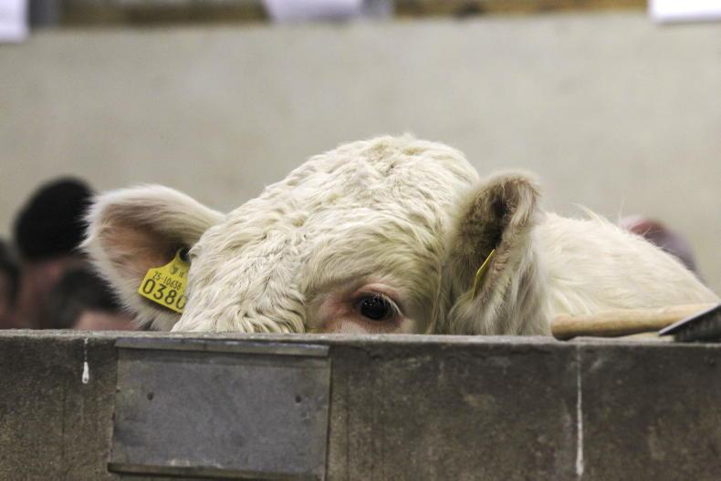 Carrick showgrounds seeks views on upgrade of facilities