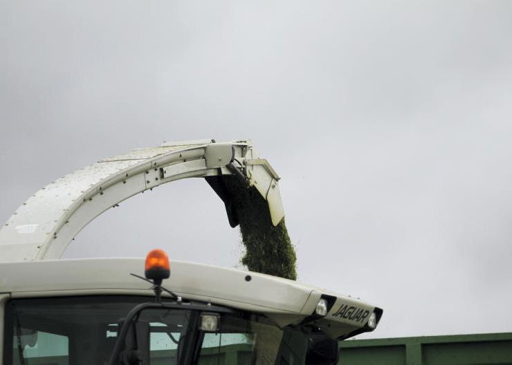 Pit silage price up €20-30/ac on last year