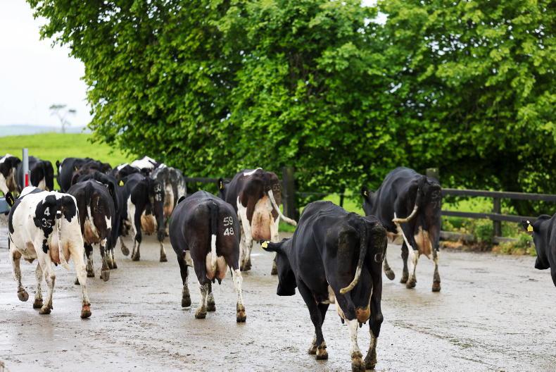 Ornua PPI up 2.2% for May milk