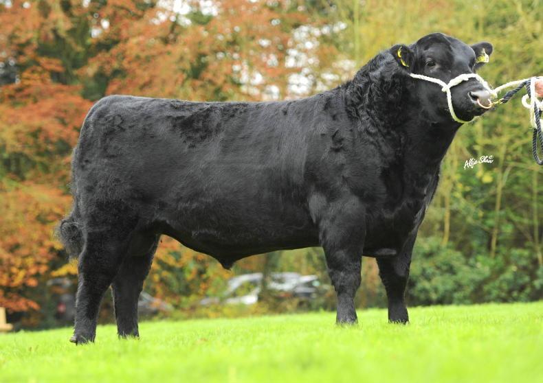 Major reshuffle in latest ICBF replacement rankings