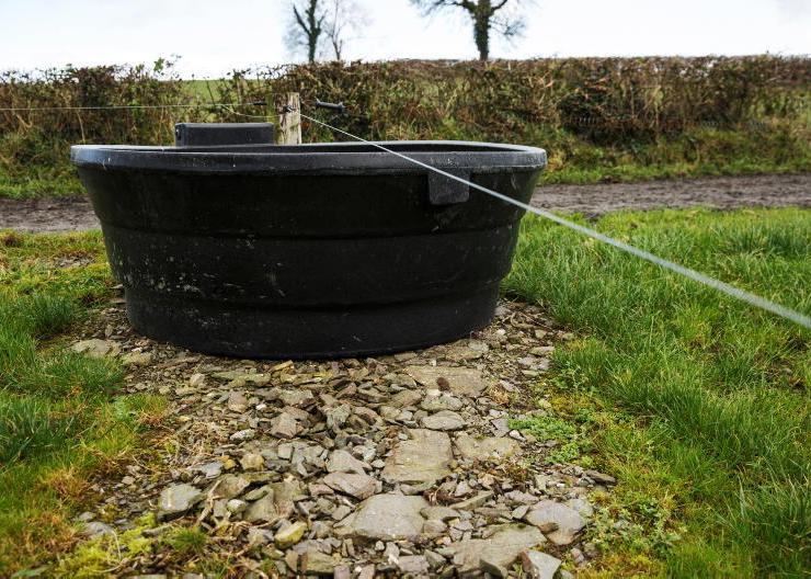 On-farm badger biosecurity deadline extended