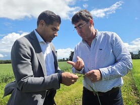 Tillage Podcast: crop protection - bans, renewals and politics versus science