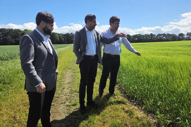 80 active substances removed from tillage market, with only one approval