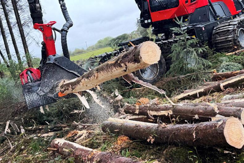 18% hike in volume of timber harvested last year