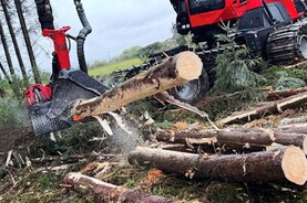 18% hike in volume of timber harvested last year