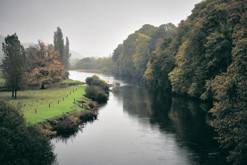 Wild salmon fishermen count costs of IFI changes