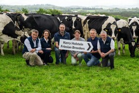 Kerry Holstein Friesian Breeders launches herd competition